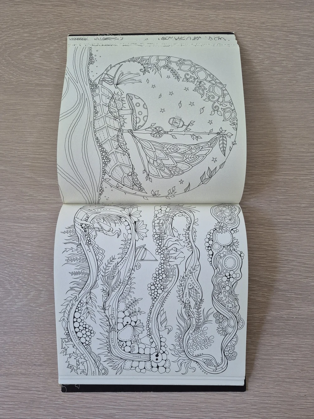 Enchanted Forest Coloring Book by — Cream & Gold